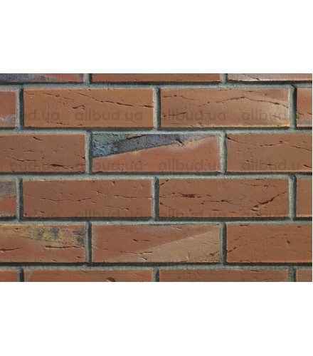 Клинкерный кирпич АВС Klinker 0160