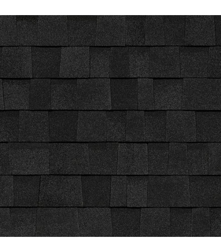 Черепица TRUDEFINITION DURATION AR Onyx Black