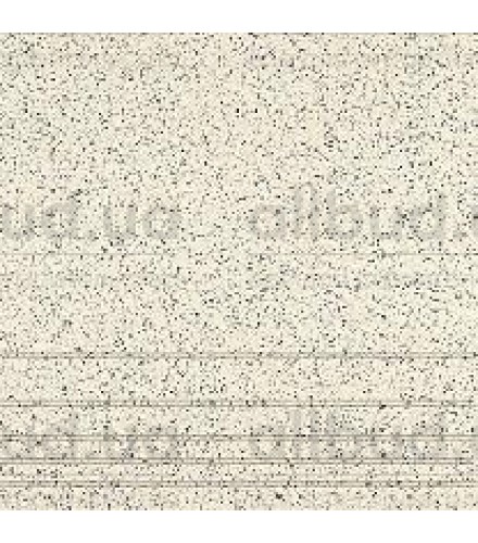 Специи Имбирь ступени SP902700N
