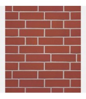Клинкерный кирпич GREETSIEL фризланд красный гладкий, Roben