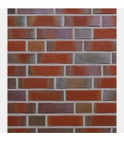 Клинкерный кирпич GREETSIEL фризланд пёстрый гладкий, Roben
